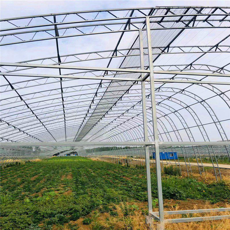 連城大棚骨架